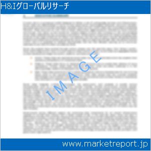 市場と産業調査レポートのイメージ